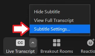 Subtitle Settings